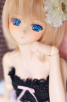 D7K_2829.jpg
